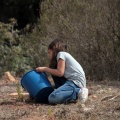Castellón, 2014