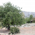 Castellón, 2014