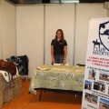 Castellón, Feria Petit Mon