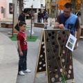 Castellón, Feria del Libro Benicàssim