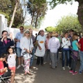 Concurso de paellas