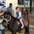 Feria Petit Món