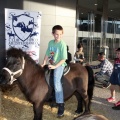 Feria Petit Món