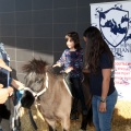 Feria Petit Món