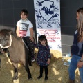 Feria Petit Món