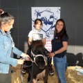 Feria Petit Món