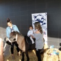 Feria Petit Món