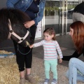 Feria Petit Món