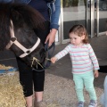 Feria Petit Món