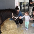Feria Petit Món