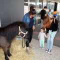 Feria Petit Món