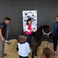 Feria Petit Món