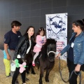 Feria Petit Món