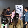 Feria Petit Món