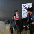 Feria Petit Món