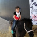 Feria Petit Món