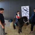 Feria Petit Món