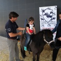Feria Petit Món