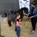 Feria Petit Món