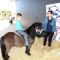 Feria Petit Món