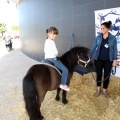 Feria Petit Món
