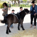 Feria Petit Món