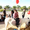 Feria Petit Món