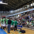 Amics del Bàsquet Castelló