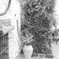 Castellón, Vilafamés 1900