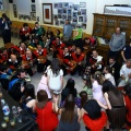 Fiesta de la Rosa