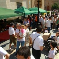 Fira de Luthiers