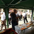Fira de Luthiers