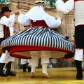 Festival de Danses