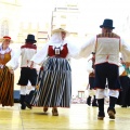Festival de Danses