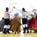Festival de Danses