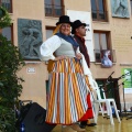 Festival de Danses