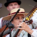 Festival de Danses