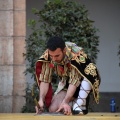 Festival de Danses