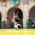 Festival de Danses