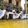 Festival de Danses