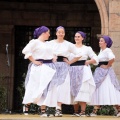 Festival de Danses