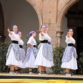 Festival de Danses