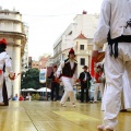 Festival de Danses