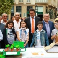 Concurso Escolar Gráfico