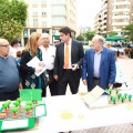 Concurso Escolar Gráfico