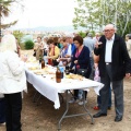 Fiesta en honor a San Isidro