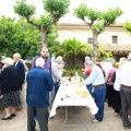 Fiesta en honor a San Isidro