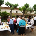 Fiesta en honor a San Isidro