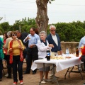 Fiesta en honor a San Isidro
