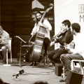 Fabian Barraza Django´s Quartet